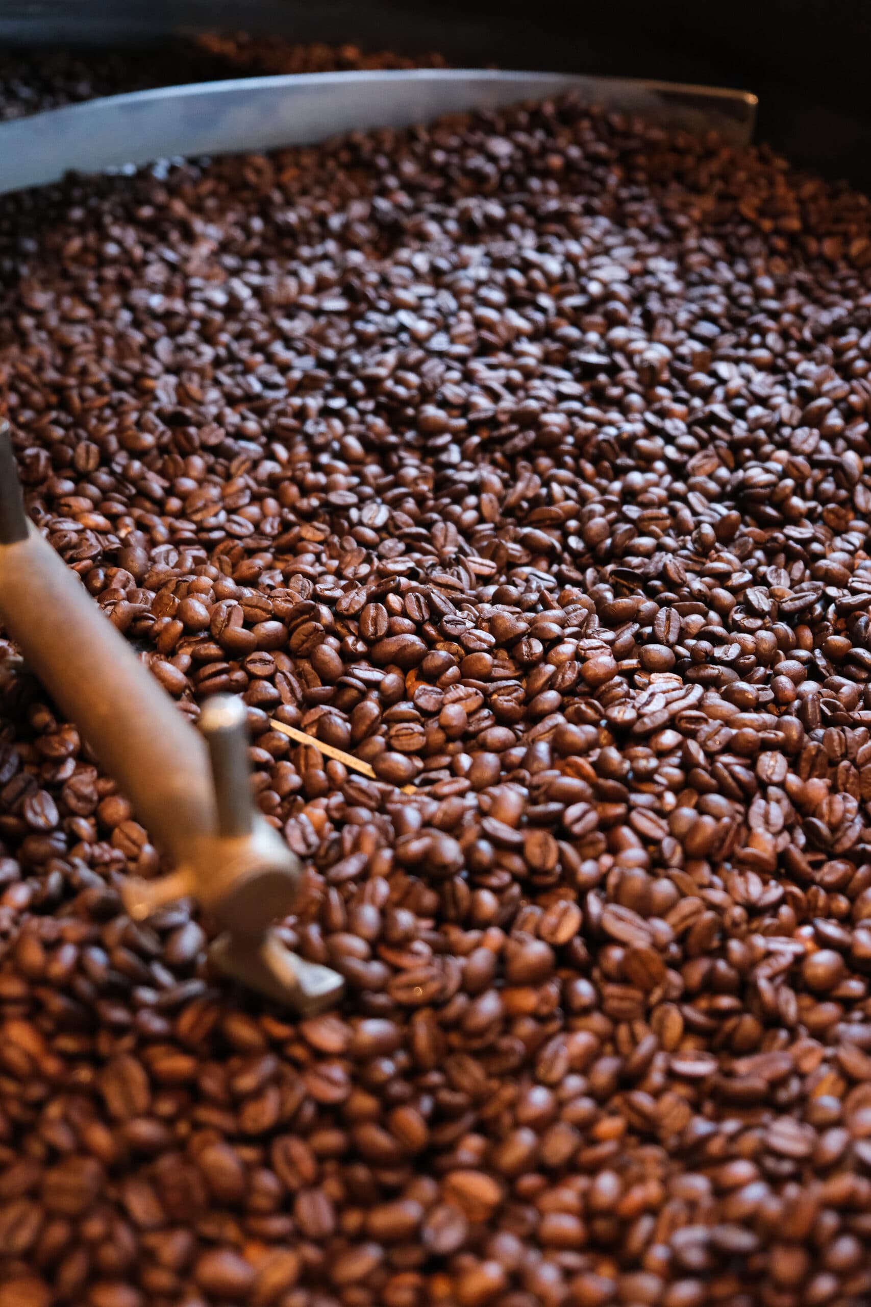 Verse koffiebonen in de brandtrommel, klaar voor de volgende batch