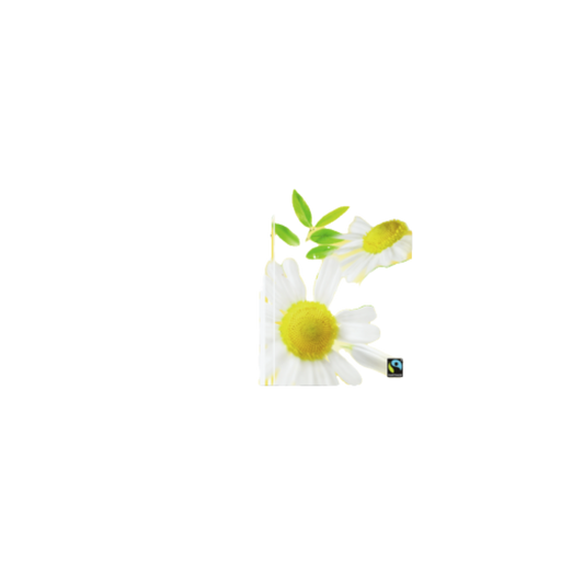 Pickwick Professional Kamille | Arte dell' espressO