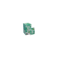Mint / Kruiden